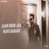 Jaan Meri Ja Rahi Sanam (Unplugged Cover) by Rahul Jain