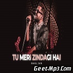 Tu Meri Zindagi Hai (Unplugged Cover) Rahul Jain
