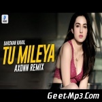 Tu Mileya (Remix)   Axonn