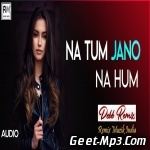 Na Tum Jano Na Hum (Remix)   Debb