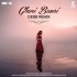 Ghani Bawri (Remix)   Debb