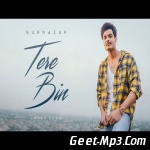 Tere Bin (Cover) Gurnazar Chattha