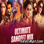 Ultimate Sangeet Mix   DJ Raahul Pai, DJ Saquib